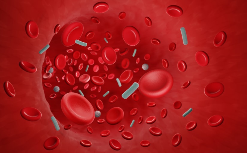 Blood cells and bacterial cells